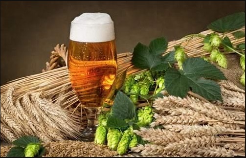 精酿啤酒-济南豪鲁