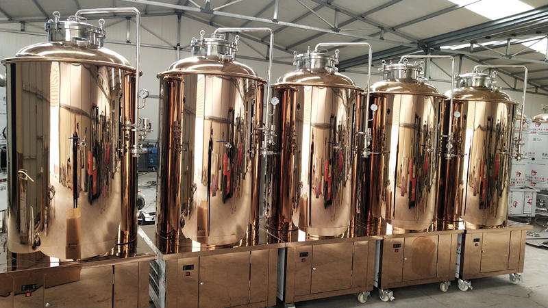 啤酒设备一体机