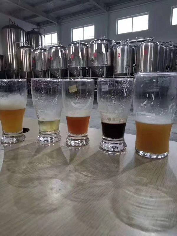 精酿啤酒设备